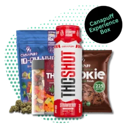 Canapuff Experience Box