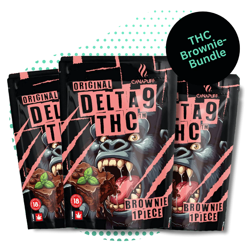 THC-Brownie-Bündel Kaufen Online