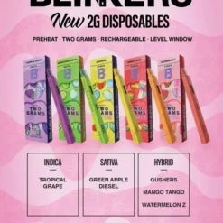 2 Gram Distillate Disposable Vapes Kaufen Online Deutschland
