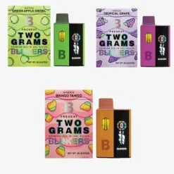 2G LED Fruits Disposable Vapes Kaufen Online